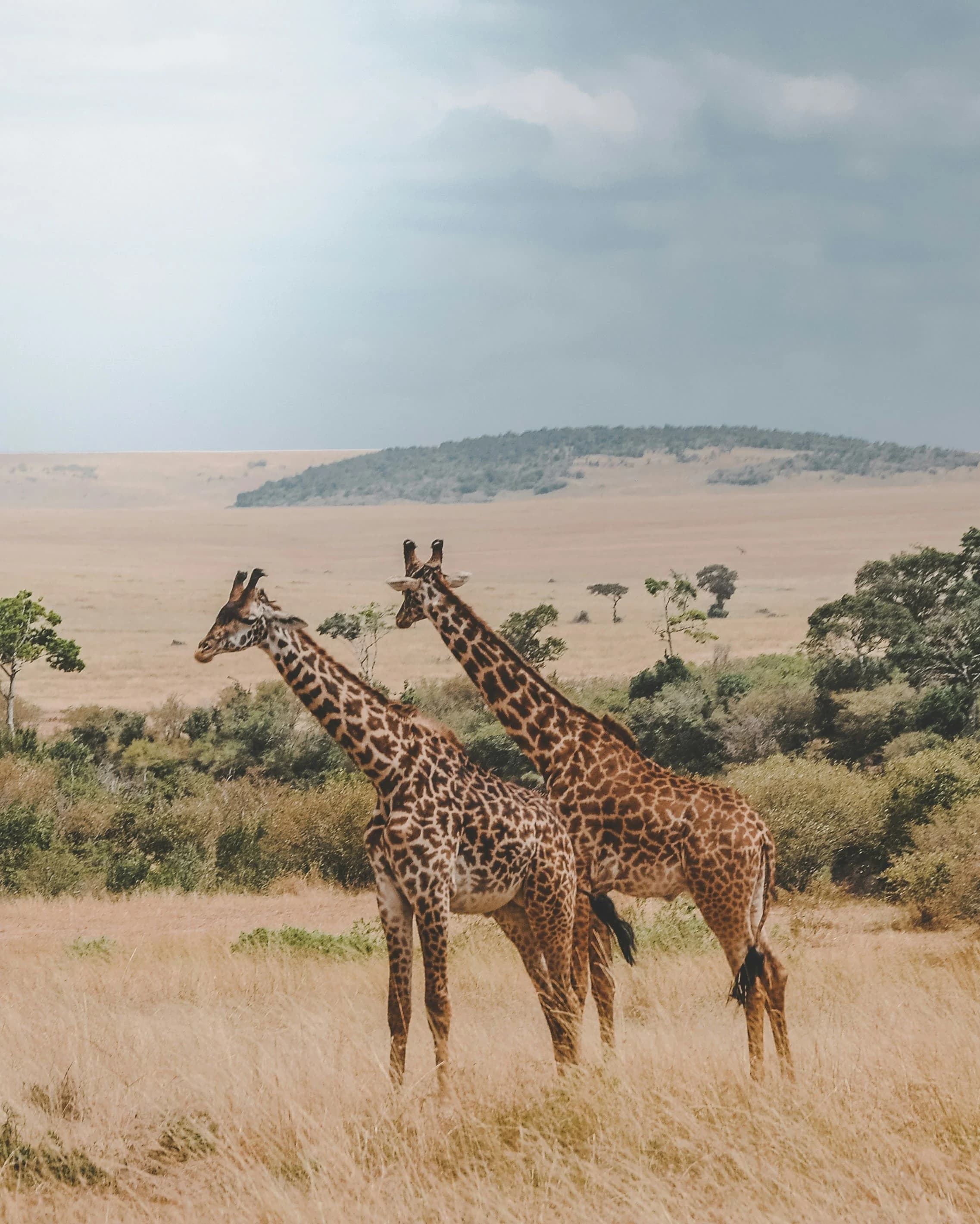 Kenya 5