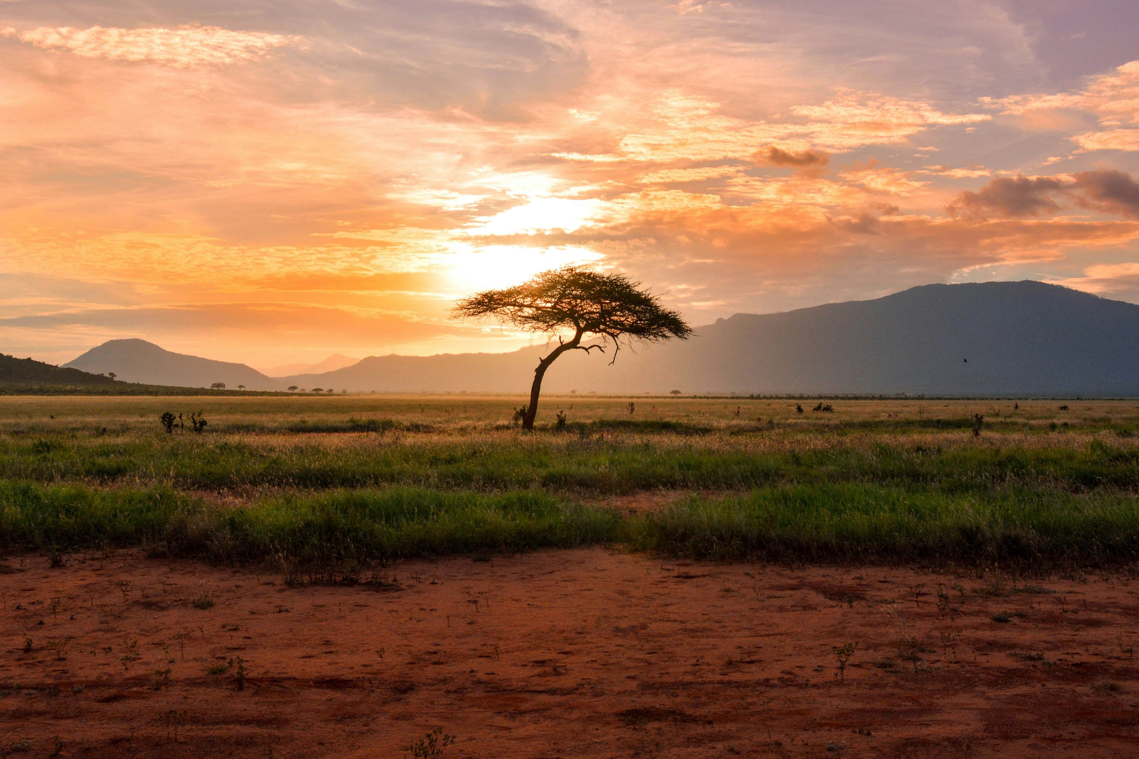 South Africa