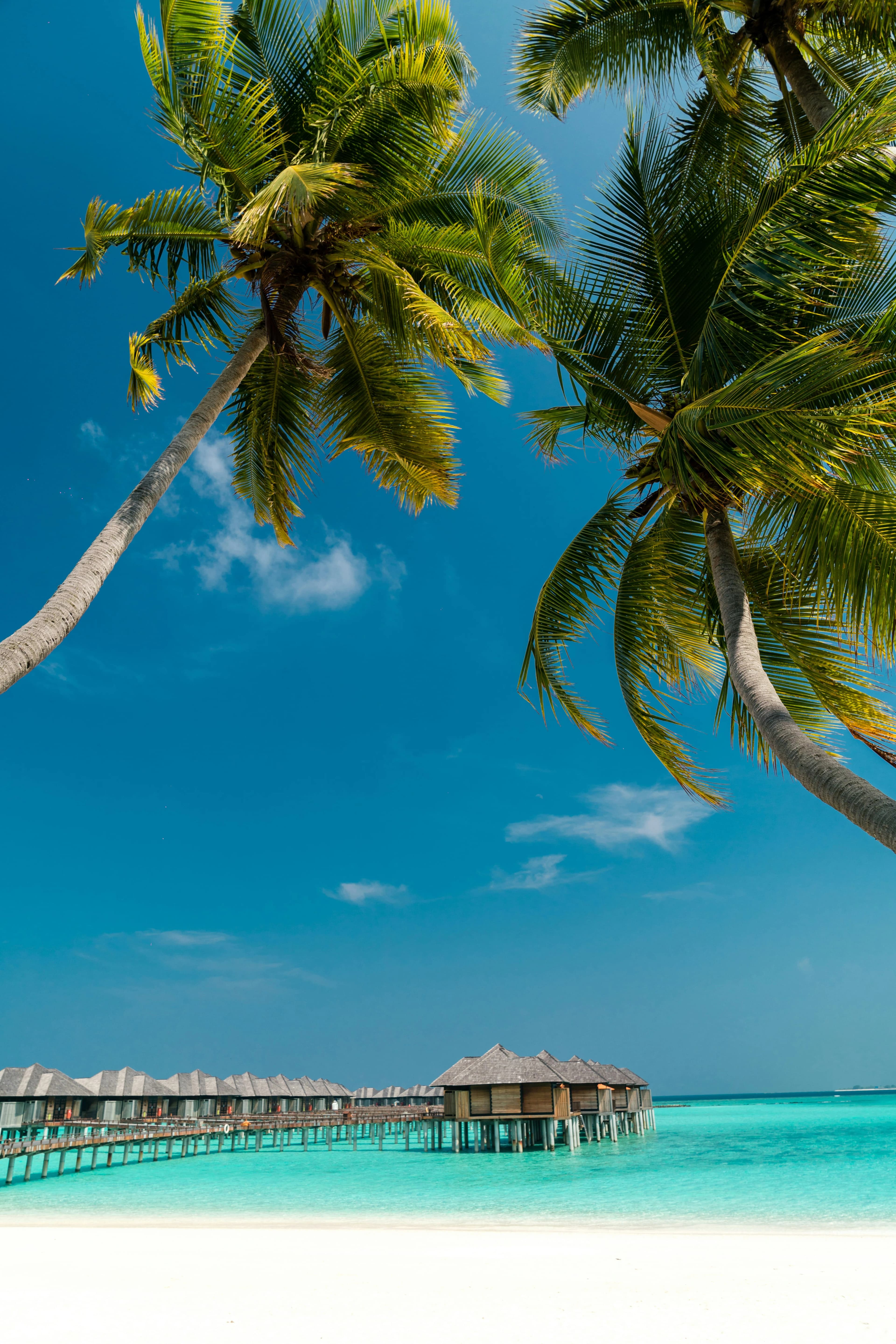 Maldives 3
