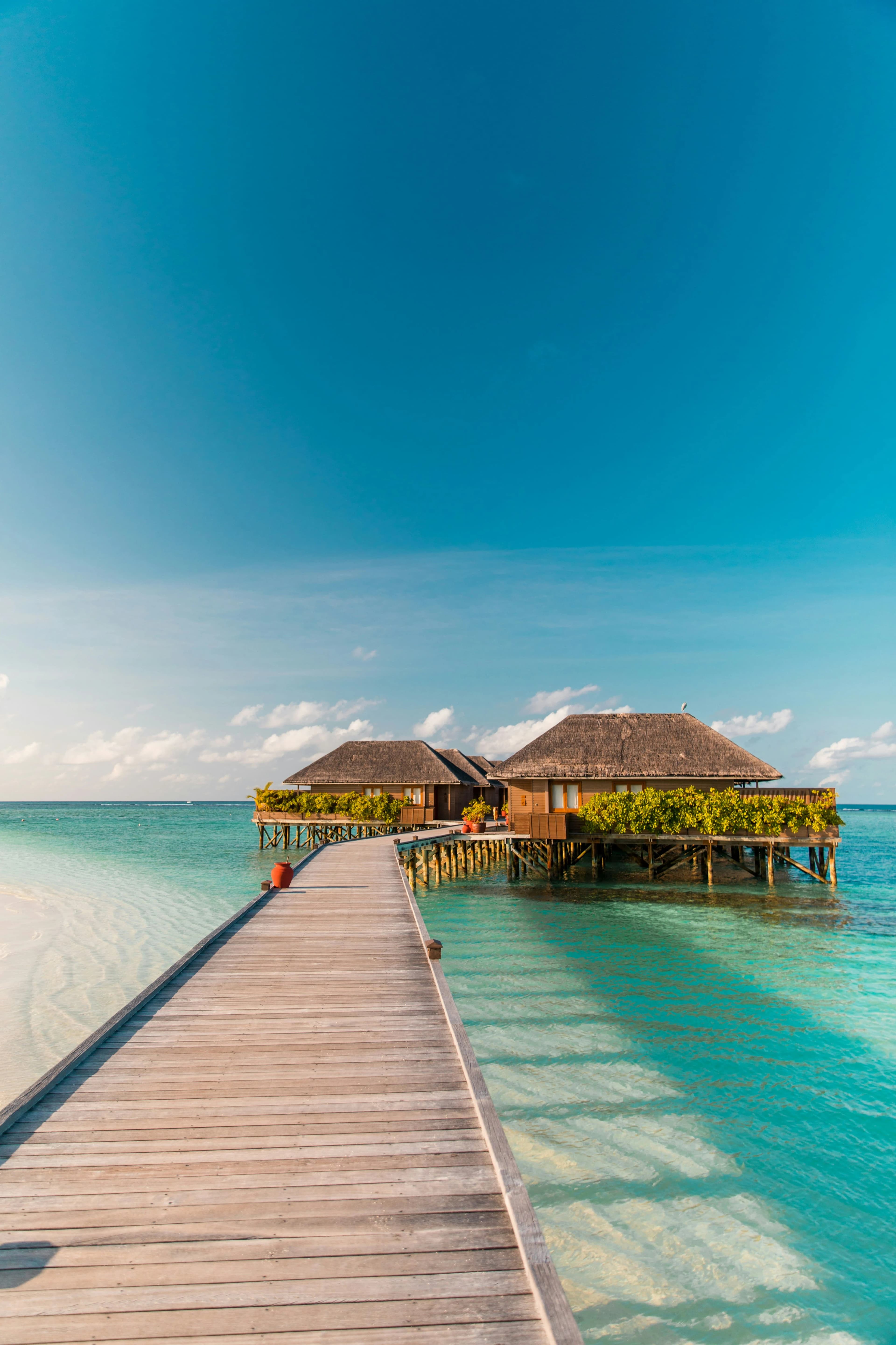 Maldives 6